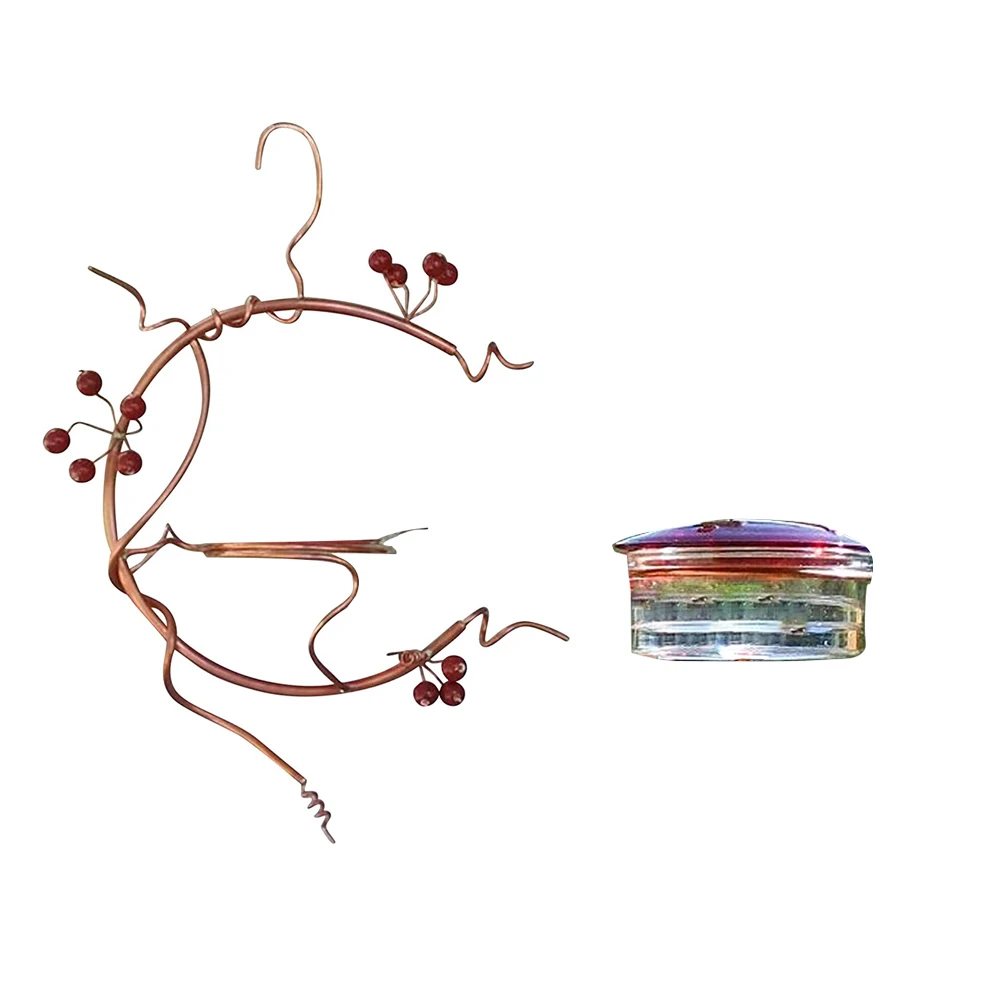 Hummingbird Feeder Hanging Metal Wild Birds Feeding Tool With Red Berries Ornament For Outdoor Garden Courtyard Transparent
Hummingbird Feeder Hanging Metal Wild Birds Feeding Tool With Red Berries Ornament For Outdoor Garden Courtyard Transparent