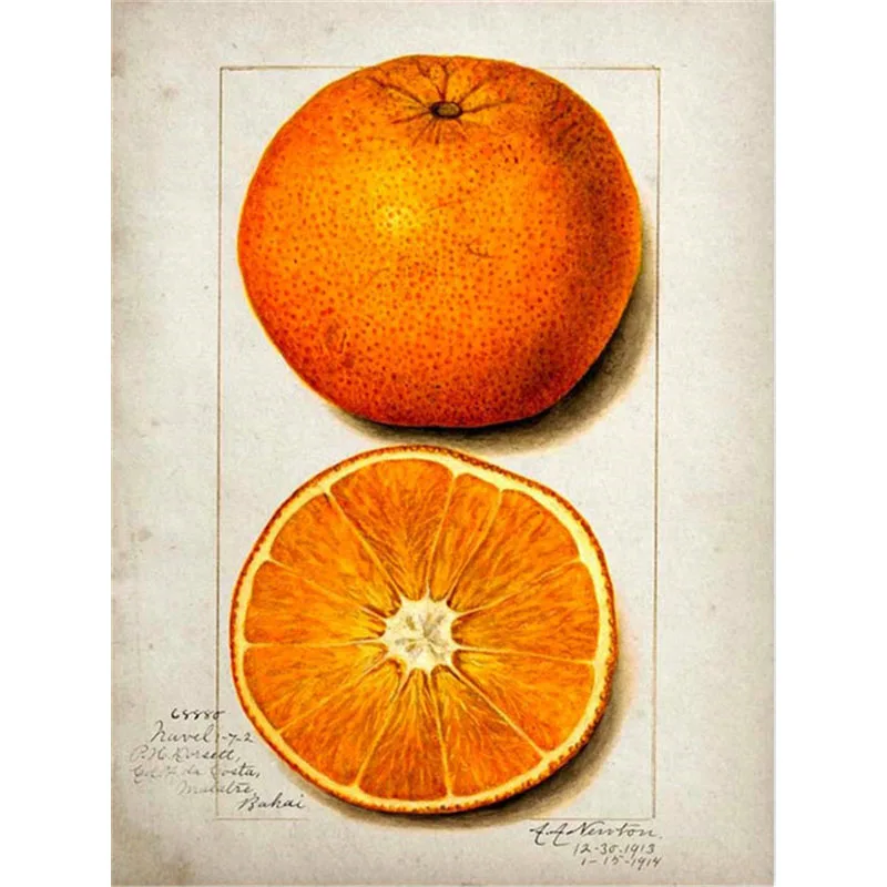 5D DIY Diamond Embroidery Fruit Series Handmade Gift Full Square/Round Diamond Painting Landscape Needlework Home Decor
5D DIY Diamond Embroidery Fruit Series Handmade Gift Full Square/Round Diamond Painting Landscape Needlework Home Decor