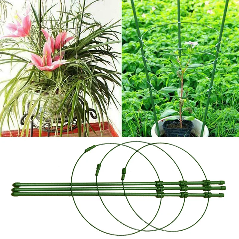 Climbing Plant Support Cage Garden Trellis Flowers Stand Rings Tomato Support SCVD889
Climbing Plant Support Cage Garden Trellis Flowers Stand Rings Tomato Support SCVD889