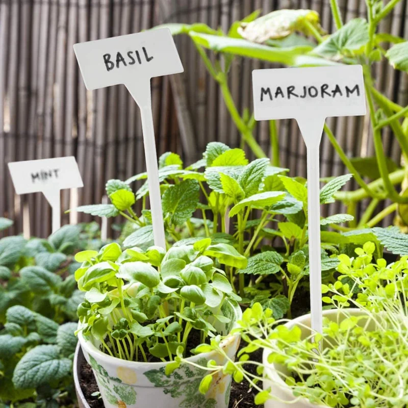 40Pcs Outdoor Plant Label,Waterproof Plastic Plant T-Type Tags, Durable Nursery Garden Markers,Perfect for Herbs,Flowers
40Pcs Outdoor Plant Label,Waterproof Plastic Plant T-Type Tags, Durable Nursery Garden Markers,Perfect for Herbs,Flowers