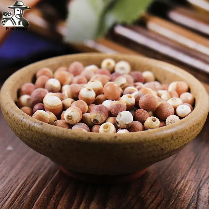 Gorgon Fruit, Gordon Euryale Semen, Semen Euryales, Ji Tou Mi, Qian Shi
Gorgon Fruit, Gordon Euryale Semen, Semen Euryales, Ji Tou Mi, Qian Shi