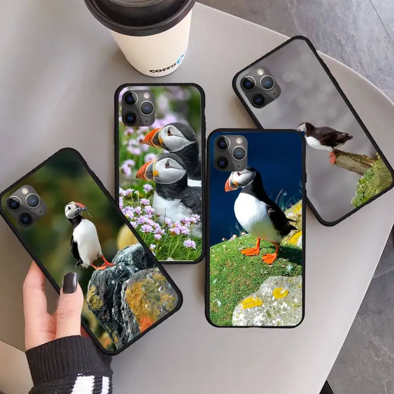 Puffin Animal cute Phone Case For iphone 12 11 13 7 8 6 s plus x xs xr pro max mini
Puffin Animal cute Phone Case For iphone 12 11 13 7 8 6 s plus x xs xr pro max mini