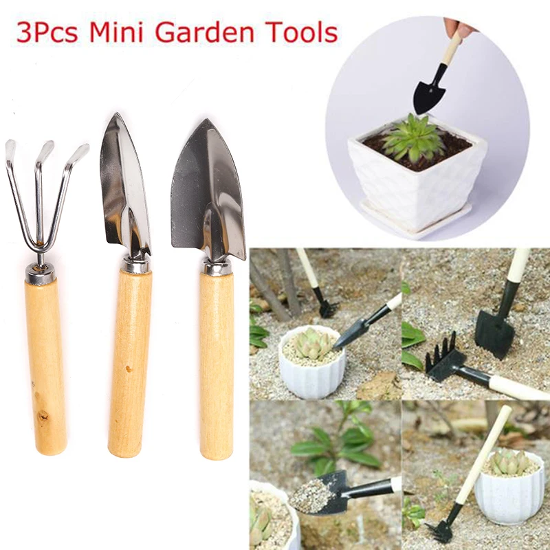 3pcs Stainless Steel Gardening Tools Planting Succulent Shovel Spade Rake Potted Plant Gadgets
3pcs Stainless Steel Gardening Tools Planting Succulent Shovel Spade Rake Potted Plant Gadgets