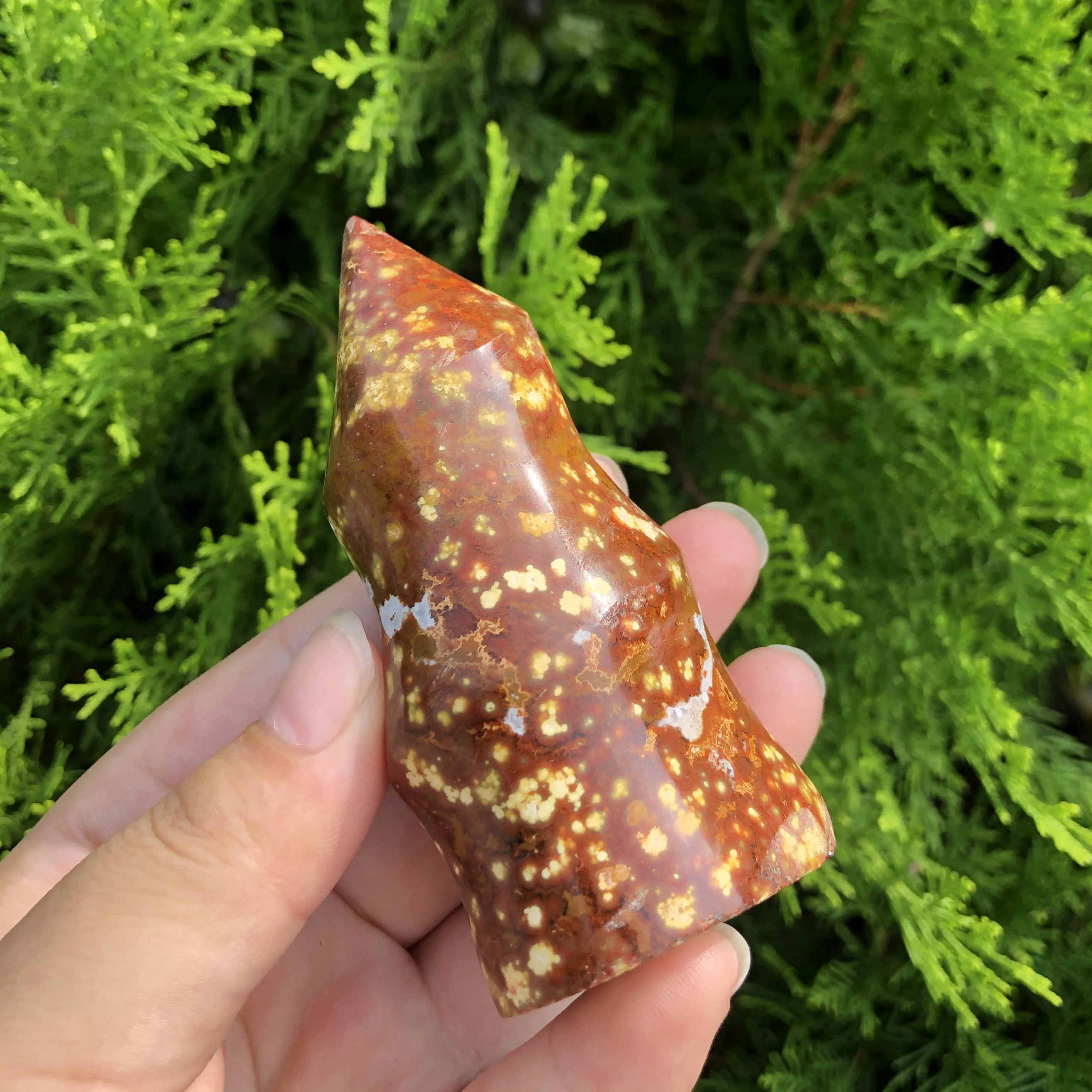 1 шт. натуральная Океаническая яшма пламя целебный Кристалл Камень Фонарь энергия океан яшма пламя для украшения дома
1 шт. натуральная Океаническая яшма пламя целебный Кристалл Камень Фонарь энергия океан яшма пламя для украшения дома