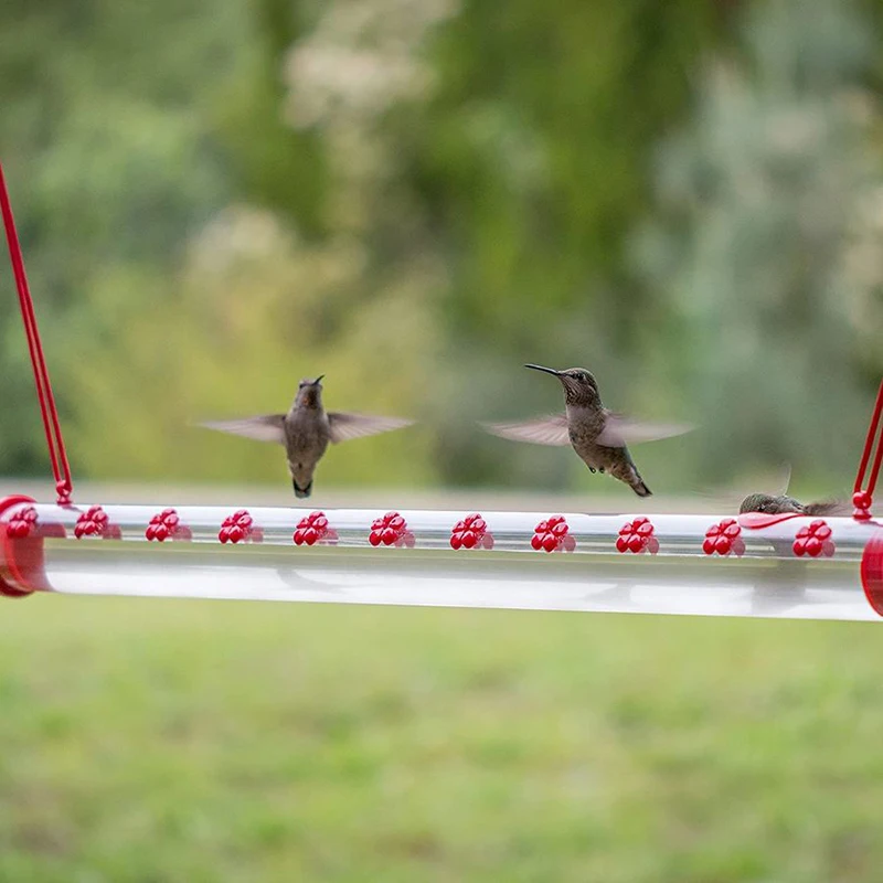 Best Hummingbird Feeder with Hole Birds Feeding 16/20 Inches Easy To Use Hummingbird Feeder Red/Transparent Bird Feeding Pipe
Best Hummingbird Feeder with Hole Birds Feeding 16/20 Inches Easy To Use Hummingbird Feeder Red/Transparent Bird Feeding Pipe