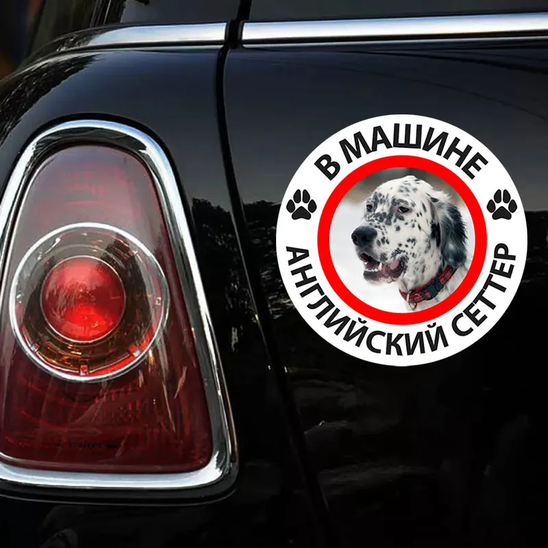 B0191# 13CM 17 CM Self-adhesive Decal English Setter Dog Car Sticker Waterproof Auto Decors on Bumper Rear Window
B0191# 13CM 17 CM Self-adhesive Decal English Setter Dog Car Sticker Waterproof Auto Decors on Bumper Rear Window