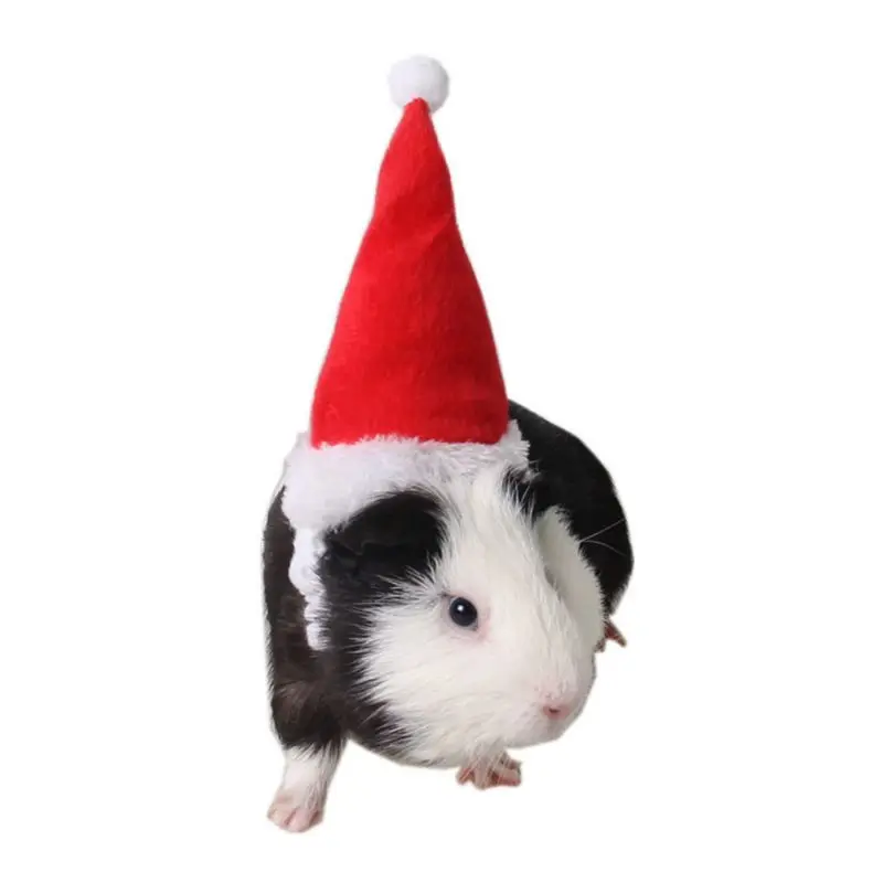 Small Animals Pet Santa Claus Hat Rabbit Hamster Guinea Pig Rats Christmas Cap 094A
Small Animals Pet Santa Claus Hat Rabbit Hamster Guinea Pig Rats Christmas Cap 094A