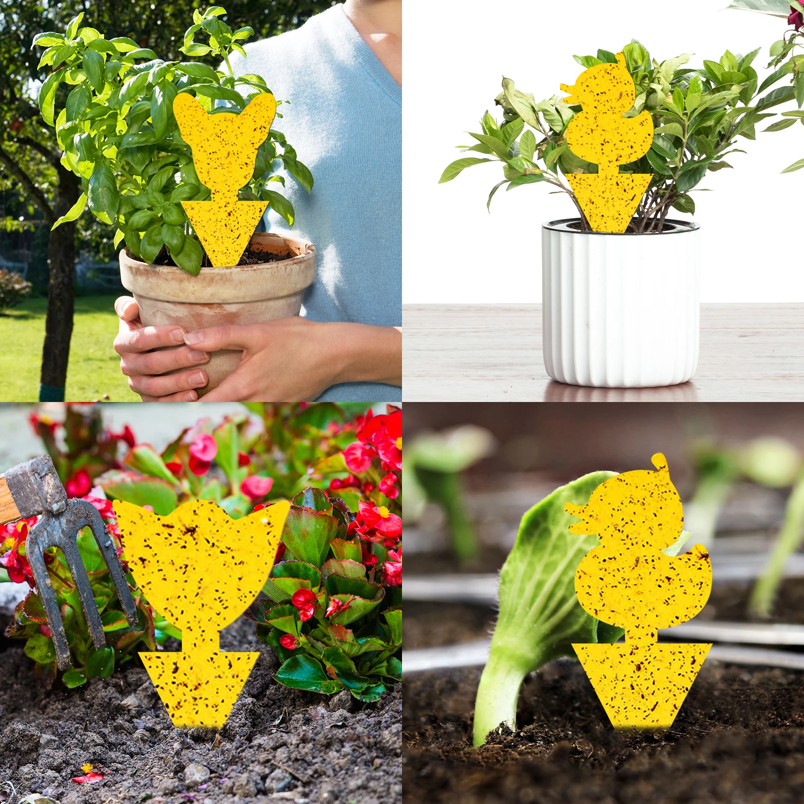10Pcs Plants Fruit Fly Trap Yellow Sticky Gnat Traps Fungus Killer For Indoor And Outdoor Non-toxic And Odorless
10Pcs Plants Fruit Fly Trap Yellow Sticky Gnat Traps Fungus Killer For Indoor And Outdoor Non-toxic And Odorless