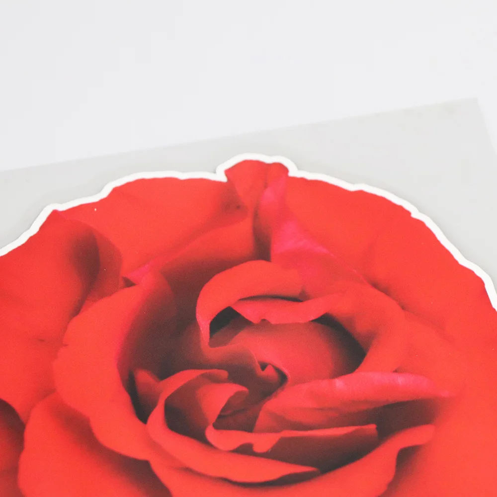 YOJA 15.316.1CM Blooming Red Flower Scratch Occlusion Body Decor Accessories Personality Car Sticker 19B-0067
YOJA 15.316.1CM Blooming Red Flower Scratch Occlusion Body Decor Accessories Personality Car Sticker 19B-0067