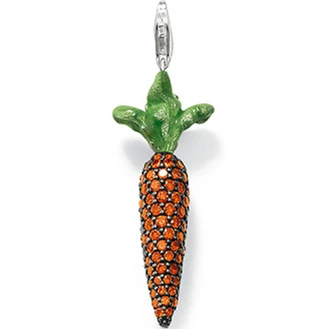 ThomasPT1615, подвеска в виде моркови, стильные ювелирные украшения для женщин в оправе из серебра 925 пробы
ThomasPT1615, подвеска в виде моркови, стильные ювелирные украшения для женщин в оправе из серебра 925 пробы