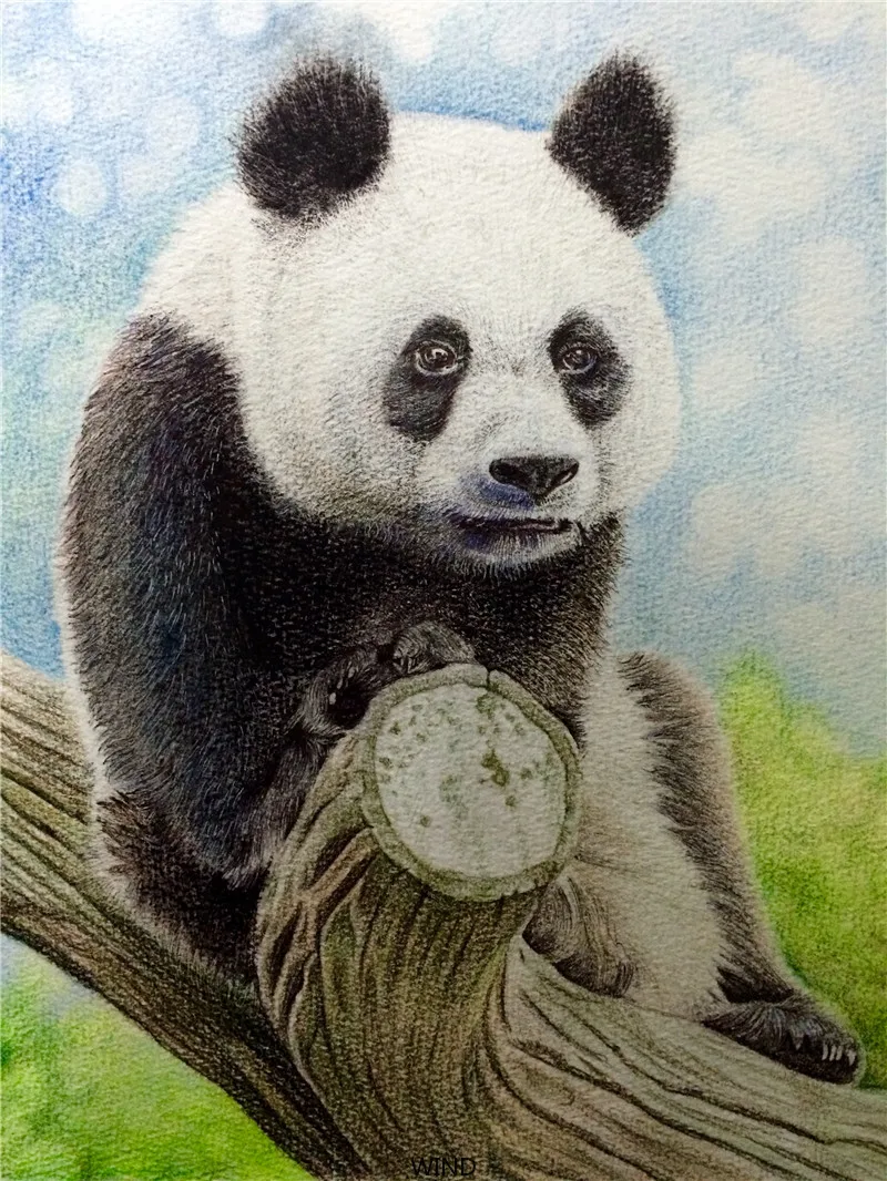 Panda Movie Poster Vintage Retro Decor Tin Sign Decor for Kitchen Metal Plates Gardening Decoration Cartoon Wall Stickers Home
Panda Movie Poster Vintage Retro Decor Tin Sign Decor for Kitchen Metal Plates Gardening Decoration Cartoon Wall Stickers Home