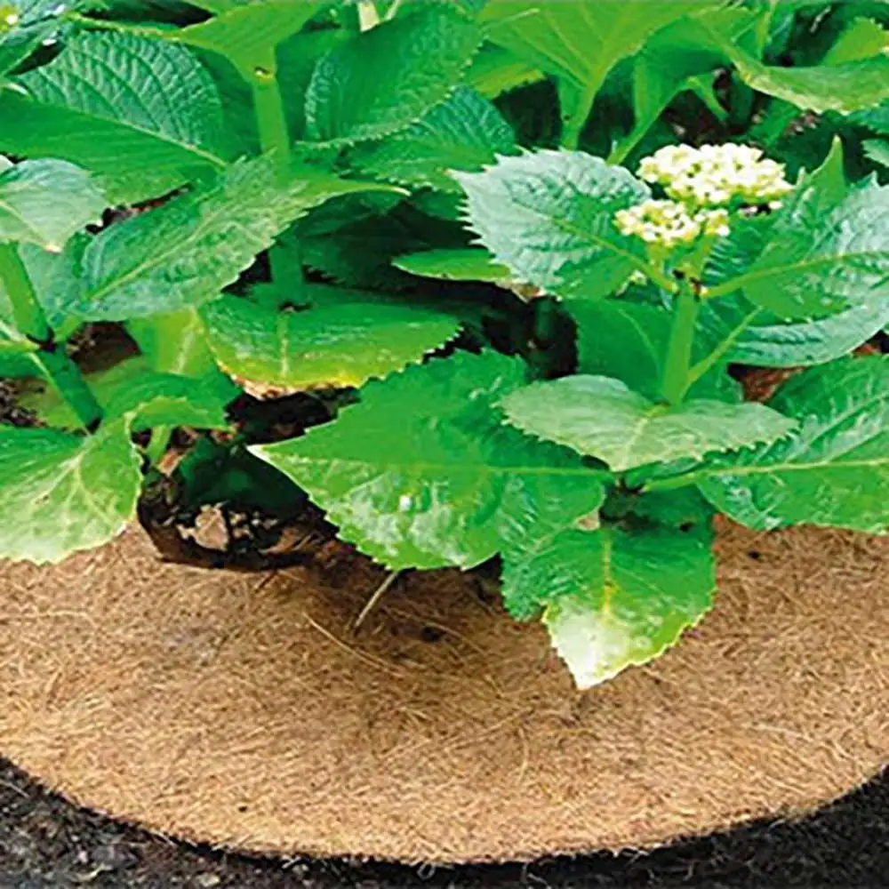Flowerpot Blocking Mat Mulch Mat Tree Fence Mat Flowerpot Dust-Proof Decorative Mat
Flowerpot Blocking Mat Mulch Mat Tree Fence Mat Flowerpot Dust-Proof Decorative Mat
