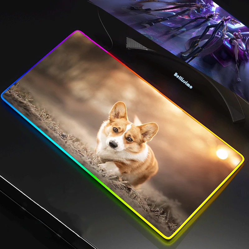 Mouse Pad Anime LED RGB Big Size XXL Gamer Anti-slip Rubber Pad Play Mats Gaming for RGB Keyboard Laptop Computer Cute Corgi
Mouse Pad Anime LED RGB Big Size XXL Gamer Anti-slip Rubber Pad Play Mats Gaming for RGB Keyboard Laptop Computer Cute Corgi