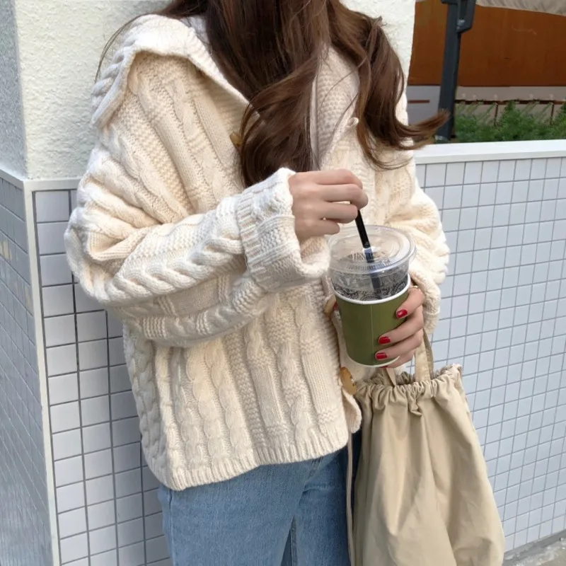 Vintage Knitted Cardigan Women Loose Single Breasted Long Sleeve Cardigans Mujer Pull Sweater Tide Korean Fashion Top Femme Топ
Vintage Knitted Cardigan Women Loose Single Breasted Long Sleeve Cardigans Mujer Pull Sweater Tide Korean Fashion Top Femme Топ