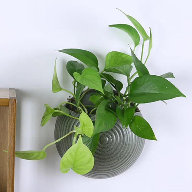 Hydroponic Green Plants Wall-mounted Flower Pots Ceramic Balcony Succulent Outdoor Non-porous Hole Wall Hanging Creative
Hydroponic Green Plants Wall-mounted Flower Pots Ceramic Balcony Succulent Outdoor Non-porous Hole Wall Hanging Creative