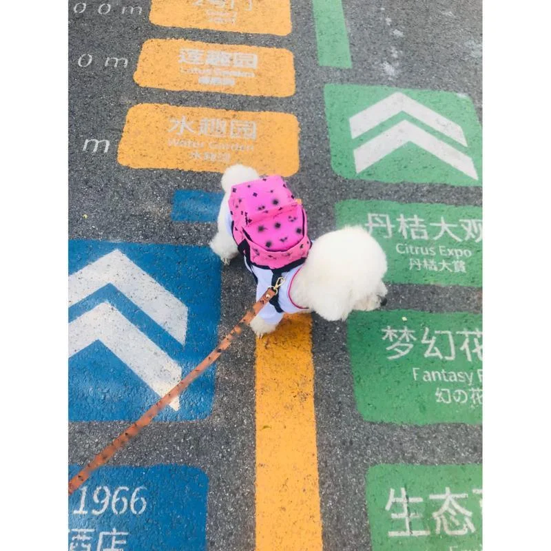 Pet Bag Fashion Brand Backpack For The French Bulldog Teddy Pet Accessories New Backpack PU Leather Tide Brand Two Color Bag Set
Pet Bag Fashion Brand Backpack For The French Bulldog Teddy Pet Accessories New Backpack PU Leather Tide Brand Two Color Bag Set