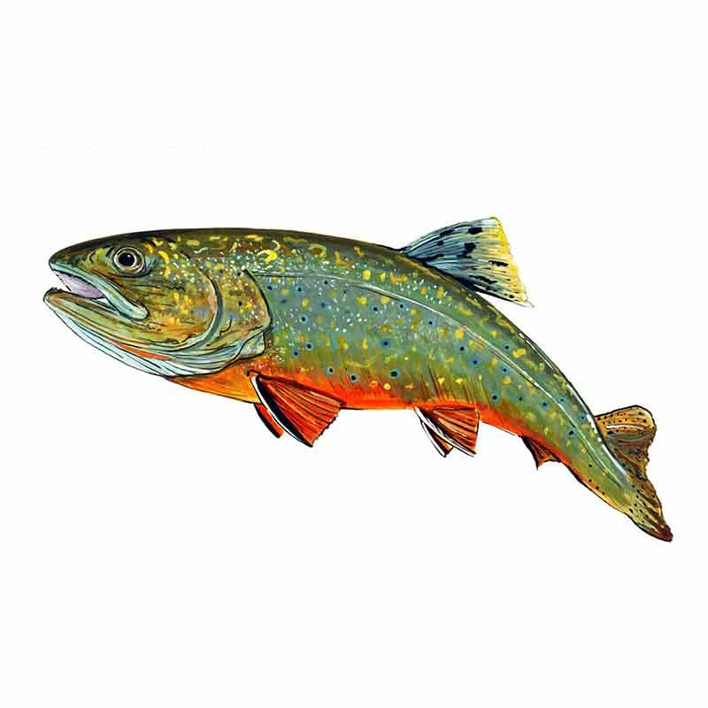 Fashion Brook Trout Fish Car Sticker Waterproof Sunscreen Decal Laptop Truck Suitcase Motorcycle Auto Accessories PVC,13cm*6cm
Fashion Brook Trout Fish Car Sticker Waterproof Sunscreen Decal Laptop Truck Suitcase Motorcycle Auto Accessories PVC,13cm*6cm
