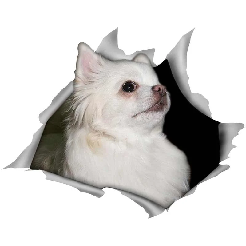 Creative 13cm X 10.3cm for Dog Fine Decal Vinyl Material Car Stickers Waterproof Occlusion Scratch Suitable for RV VAN
Creative 13cm X 10.3cm for Dog Fine Decal Vinyl Material Car Stickers Waterproof Occlusion Scratch Suitable for RV VAN