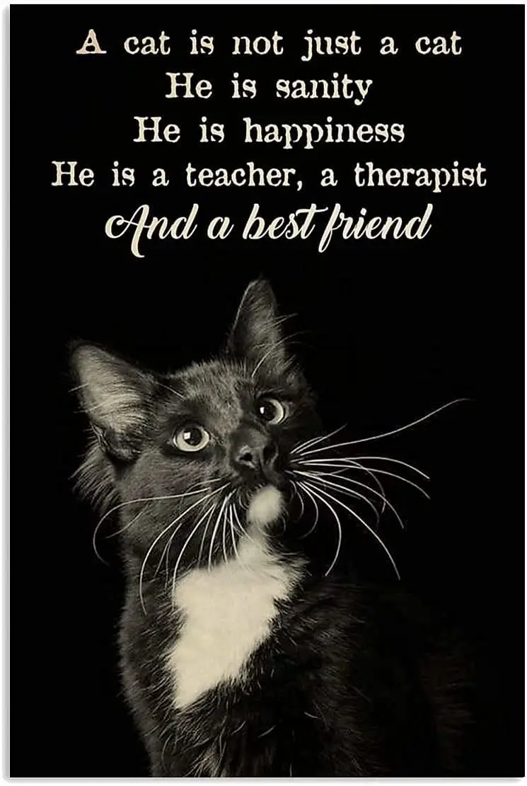 Tuxedo Cat Vintage Retro Metal Tin Sign,A Cat not Just A Cat He is Sanity Happiness,Wall Panel Retro Art Decor for Home Bedroom
Tuxedo Cat Vintage Retro Metal Tin Sign,A Cat not Just A Cat He is Sanity Happiness,Wall Panel Retro Art Decor for Home Bedroom