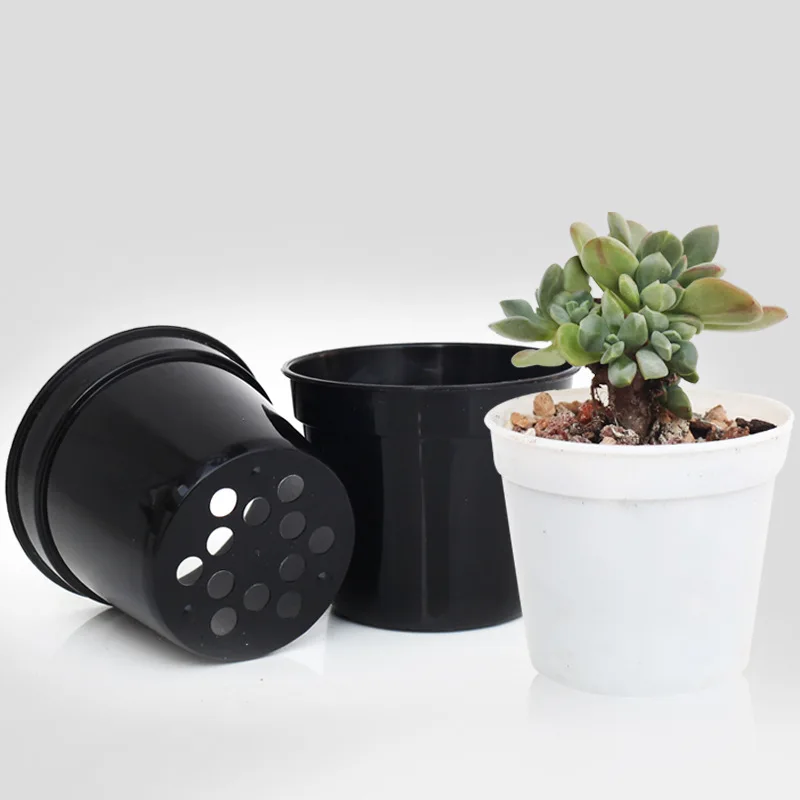 10/50Pcs Black White Plant Pots Plastic Flower Pot Seedling Transplanting Planting Pot Succulent Greenhouse Garden Small Planter
10/50Pcs Black White Plant Pots Plastic Flower Pot Seedling Transplanting Planting Pot Succulent Greenhouse Garden Small Planter