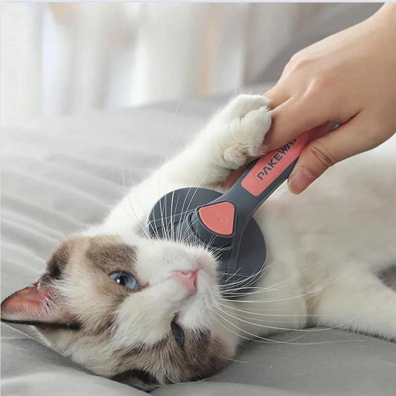 Расческа для кошек и собак Kimpets, расческа для шерсти кошек, расческа для шерсти домашних питомцев, специальная расческа для шерсти кошек, сре...
Расческа для кошек и собак Kimpets, расческа для шерсти кошек, расческа для шерсти домашних питомцев, специальная расческа для шерсти кошек, сре...