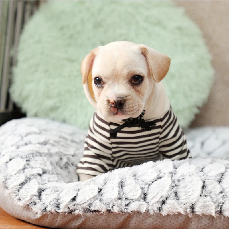 Soft Plush Dog Bed Kennel Pad Crate Mat Thicker Cat Pet Mats Mattress Pets Sleeping Cushion Blanket for Small Puppy Large 2021 
Soft Plush Dog Bed Kennel Pad Crate Mat Thicker Cat Pet Mats Mattress Pets Sleeping Cushion Blanket for Small Puppy Large 2021