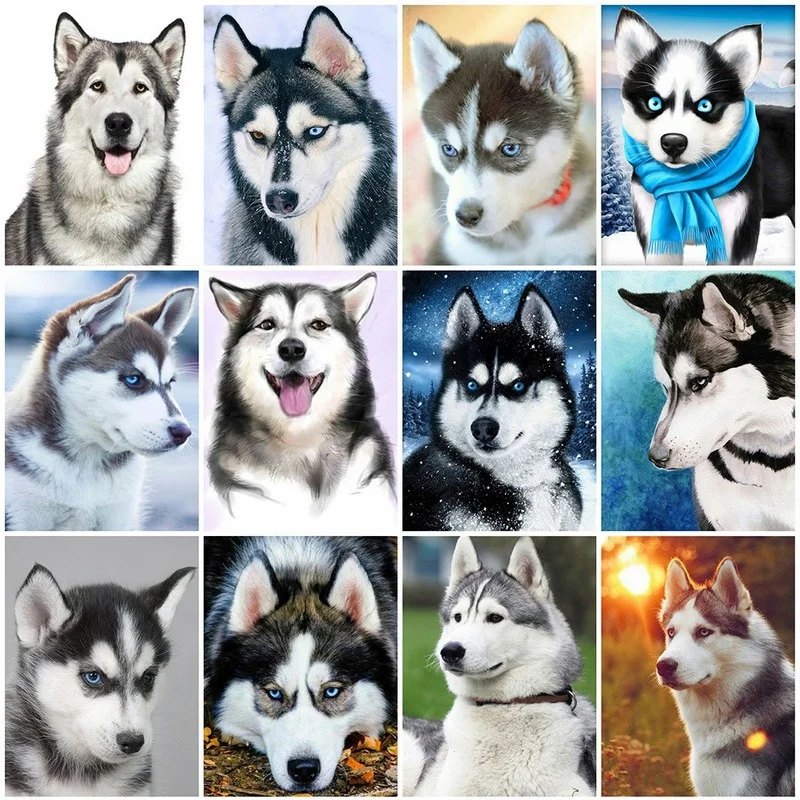 Diamond Painting Dog Hobbies And Crafts 5D DIY Diamond Embroidery Animal Diamond Mosaic Husky Home Decorations
Diamond Painting Dog Hobbies And Crafts 5D DIY Diamond Embroidery Animal Diamond Mosaic Husky Home Decorations