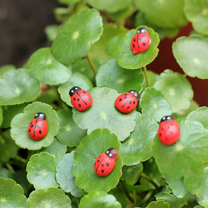 10Pcs Mini Ladybird Red Beetle Ladybug Fairy Doll House Garden Decor Ornament
10Pcs Mini Ladybird Red Beetle Ladybug Fairy Doll House Garden Decor Ornament