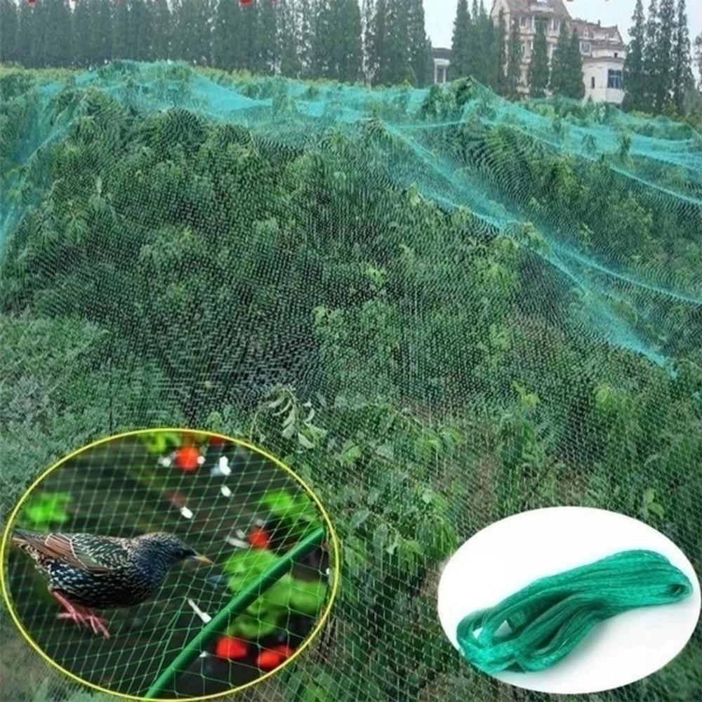 Wear-resistant Garden Fruit Tree Anti Bird Net Protect Tree Net Fruit Crop Plant Garden Pond Netting High Quality Anti-insect
Wear-resistant Garden Fruit Tree Anti Bird Net Protect Tree Net Fruit Crop Plant Garden Pond Netting High Quality Anti-insect