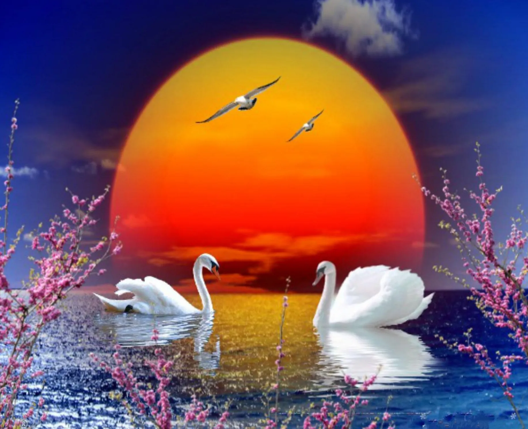 JMINE Div 5D закат Лебедь озеро луна цветок полная Алмазная краска ing крестиком наборы художественная живописная 3D краска бриллиантами
JMINE Div 5D закат Лебедь озеро луна цветок полная Алмазная краска ing крестиком наборы художественная живописная 3D краска бриллиантами