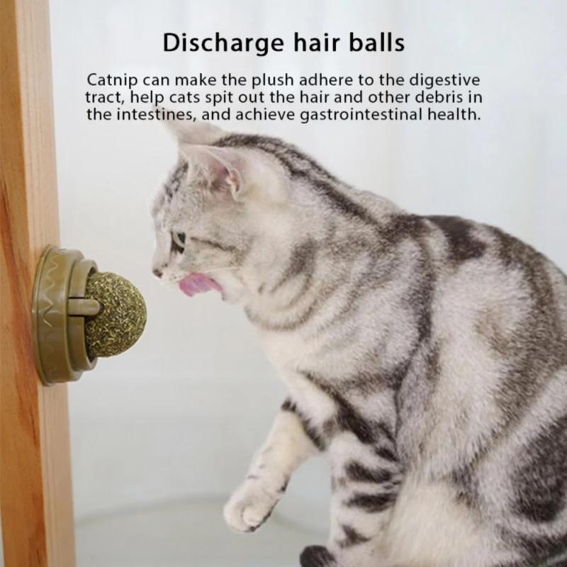 Pet Cat Toy Can Turn Catnip Exciting Interactive Training Play Ball Wall Hanging Cat Playing Accessories Supplies
Pet Cat Toy Can Turn Catnip Exciting Interactive Training Play Ball Wall Hanging Cat Playing Accessories Supplies