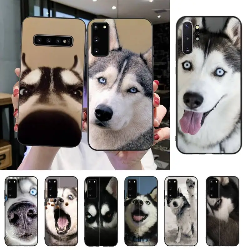 YNDFCNB Funny cute husky with a hat Phone Case For Samsung S20 S10 S8 S9 Plus S7 S6 S5 Note10 Note9 S10lite
YNDFCNB Funny cute husky with a hat Phone Case For Samsung S20 S10 S8 S9 Plus S7 S6 S5 Note10 Note9 S10lite