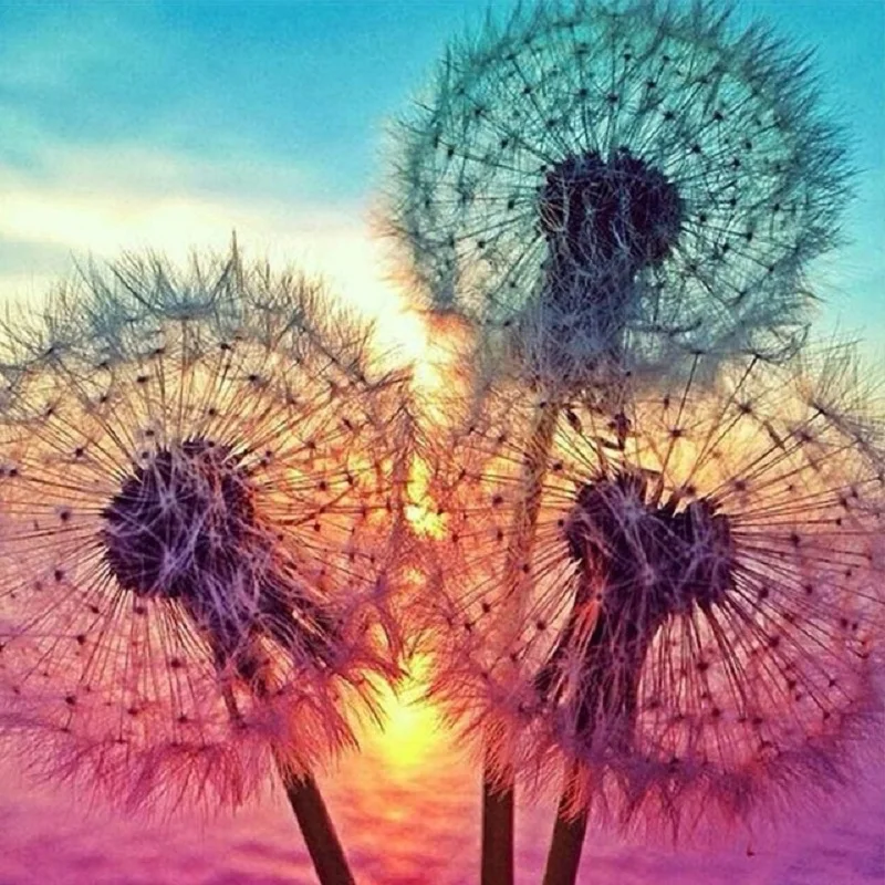 5D Dandelion Diamond Painting Kit DIY Diamond Rhinestone Painting Kits Adults and Beginner Embroidery Arts Craft
5D Dandelion Diamond Painting Kit DIY Diamond Rhinestone Painting Kits Adults and Beginner Embroidery Arts Craft
