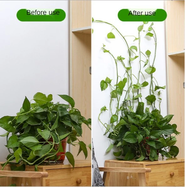 10Pcs Dill Wall Climbing Fixture Green Plant Fixture Household Potted Green Plant Wall Climbing Fixture Free Nail Hook
10Pcs Dill Wall Climbing Fixture Green Plant Fixture Household Potted Green Plant Wall Climbing Fixture Free Nail Hook