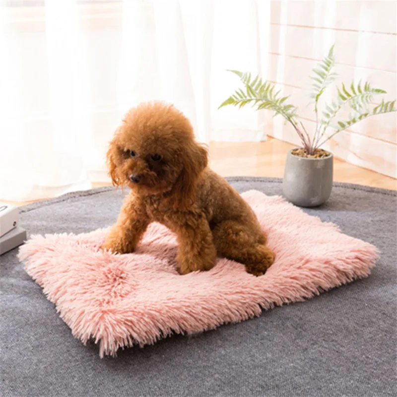 Winter Dog Bed Mat Soft Fleece Pet Cushion House Warm Puppy Cat Sleeping Bed Blanket For Small Large Dogs Cats mat
Winter Dog Bed Mat Soft Fleece Pet Cushion House Warm Puppy Cat Sleeping Bed Blanket For Small Large Dogs Cats mat
