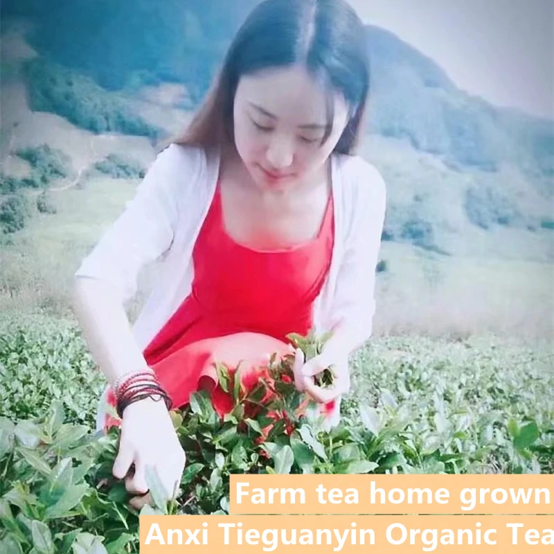 Китайский Чай Anxi Tiekuanyin, свежий зеленый чай Oolong, чай для похудения, предотвращение атеросклероза, Предотвращение рака
Китайский Чай Anxi Tiekuanyin, свежий зеленый чай Oolong, чай для похудения, предотвращение атеросклероза, Предотвращение рака