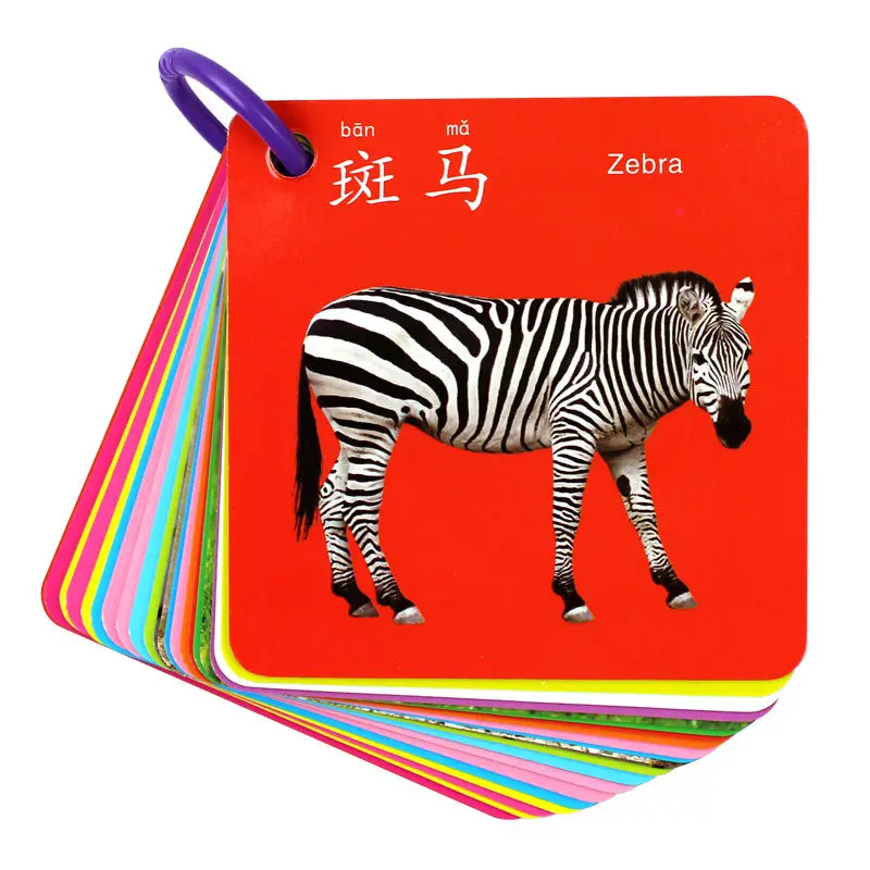 Learning Books Card Early Childhood Photos And Identify Numbers English Pinyin Animal Cognitive Enlightenment Livros Livrer Art
Learning Books Card Early Childhood Photos And Identify Numbers English Pinyin Animal Cognitive Enlightenment Livros Livrer Art