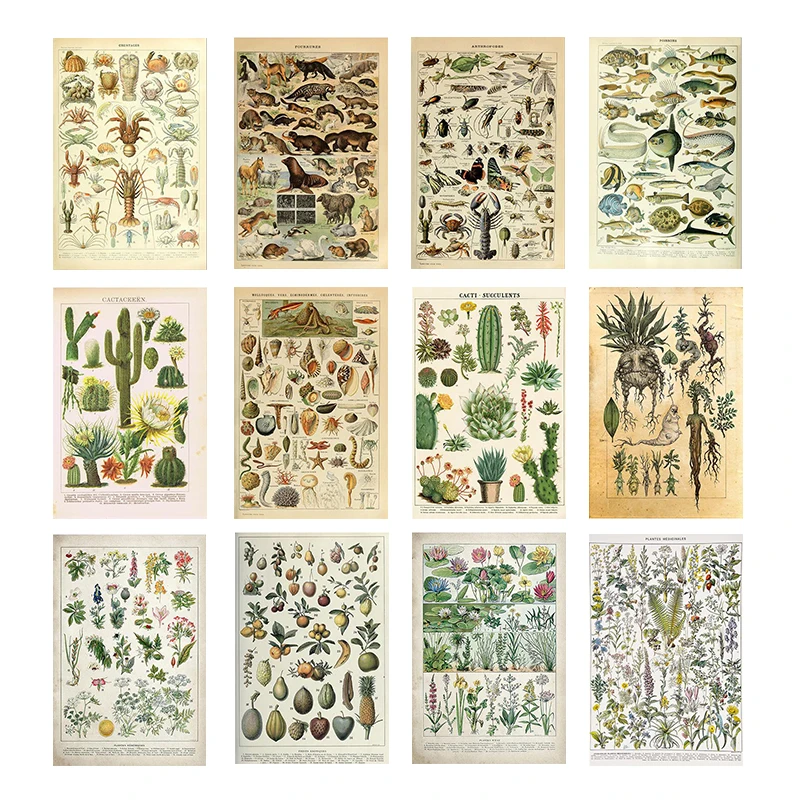 Retro Canvas Painting Vegetables Fruits Mushroom Posters and Prints Print Art Mural Pictures Living Room Home Wall Decor Cuadros
Retro Canvas Painting Vegetables Fruits Mushroom Posters and Prints Print Art Mural Pictures Living Room Home Wall Decor Cuadros