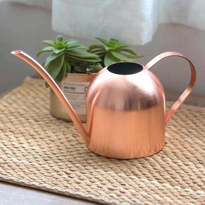 Long Mouth Water Can Stainless Steel Watering Pot Garden Flower Plants Watering Cans 500ML /1000ML Kettle Gardening Tool 
Long Mouth Water Can Stainless Steel Watering Pot Garden Flower Plants Watering Cans 500ML /1000ML Kettle Gardening Tool