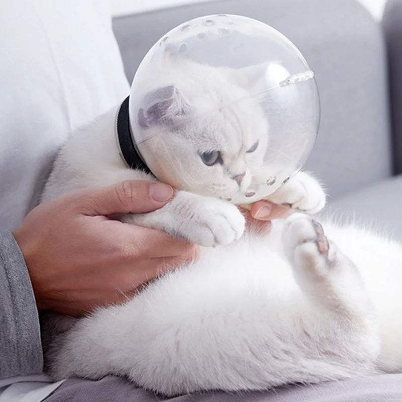 Breathable Cat Muzzle Anti-Bite Grooming Mask Anti-Licking Protective Space Hood Cat Bath Supplies kat levert accessoires chats
Breathable Cat Muzzle Anti-Bite Grooming Mask Anti-Licking Protective Space Hood Cat Bath Supplies kat levert accessoires chats