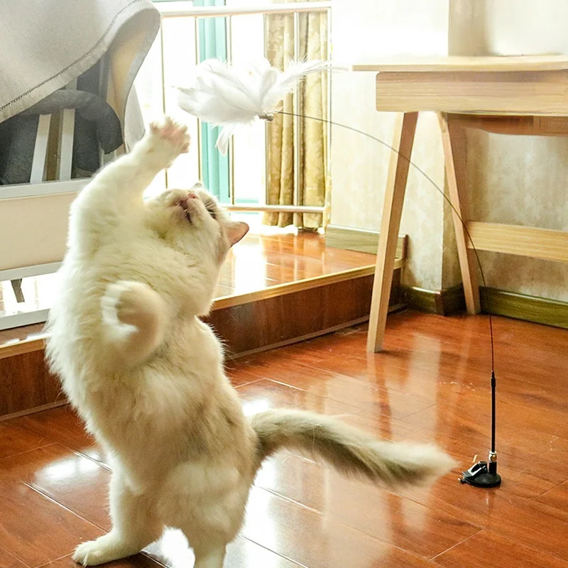 Cat Toys Simulation Bird Interactive Cat Toy Furry Feather Bird with Suction Cup Cat Stick Toy Kitten Playing Teaser Wand Toy 
Cat Toys Simulation Bird Interactive Cat Toy Furry Feather Bird with Suction Cup Cat Stick Toy Kitten Playing Teaser Wand Toy