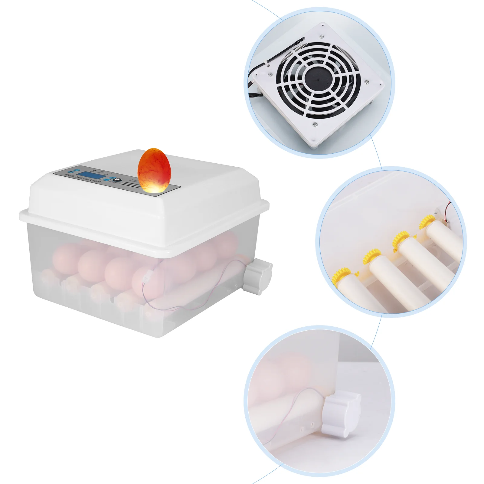 Eggs Incubator 16 Eggs Digital Mini Automatic Incubator with Turner for Hatching Turkey Goose Quail Chicken Eggs Hatcher Machine
Eggs Incubator 16 Eggs Digital Mini Automatic Incubator with Turner for Hatching Turkey Goose Quail Chicken Eggs Hatcher Machine