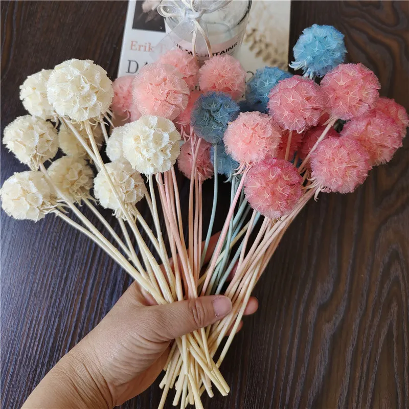 3-4cm/10pcs,Nature Fresh Preserved Pristimera Cambododiana Display flower for Wedding Party Garden Home Decoration accessories
3-4cm/10pcs,Nature Fresh Preserved Pristimera Cambododiana Display flower for Wedding Party Garden Home Decoration accessories