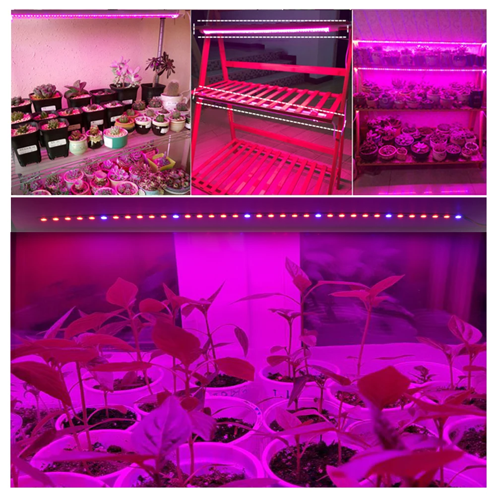 LED Grow Lights DC12V 5730 LED Bar Rigid Strip Red Blue For Aquarium Green House Hydroponic Plant 10pcs/lot
LED Grow Lights DC12V 5730 LED Bar Rigid Strip Red Blue For Aquarium Green House Hydroponic Plant 10pcs/lot