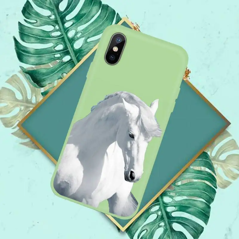 Cool running horse Phone Case Candy Color for iPhone 11 12 mini pro XS MAX 8 7 6 6S Plus X SE 2020 XR
Cool running horse Phone Case Candy Color for iPhone 11 12 mini pro XS MAX 8 7 6 6S Plus X SE 2020 XR