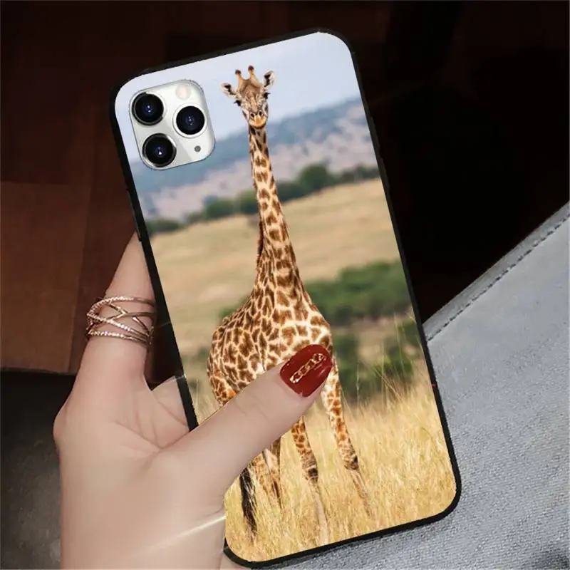 Lovely animal giraffe Phone Case for iPhone 11 12 pro XS MAX 8 7 6 6S Plus X 5S SE 2020 XR
Lovely animal giraffe Phone Case for iPhone 11 12 pro XS MAX 8 7 6 6S Plus X 5S SE 2020 XR