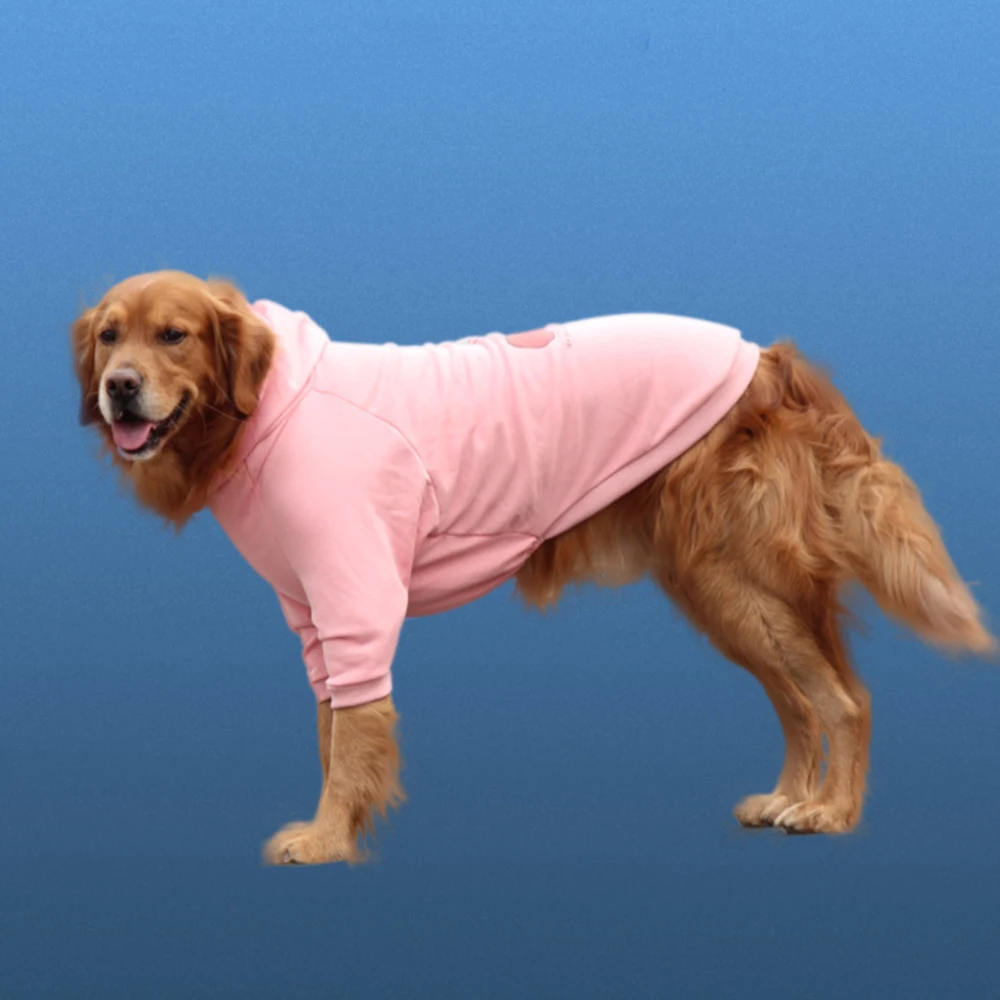 Five-Sleeve Thin Pet Clothing Hooded Casual Cotton Golden Retriever Dog Clothes
Five-Sleeve Thin Pet Clothing Hooded Casual Cotton Golden Retriever Dog Clothes