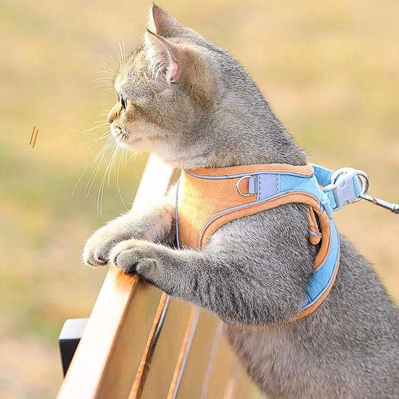 Cat Harness And Leash Escape Proof Pet Clothes Kitten Puppy Dogs Vest Adjustable Easy Control Reflective Cat Harness Accessories
Cat Harness And Leash Escape Proof Pet Clothes Kitten Puppy Dogs Vest Adjustable Easy Control Reflective Cat Harness Accessories