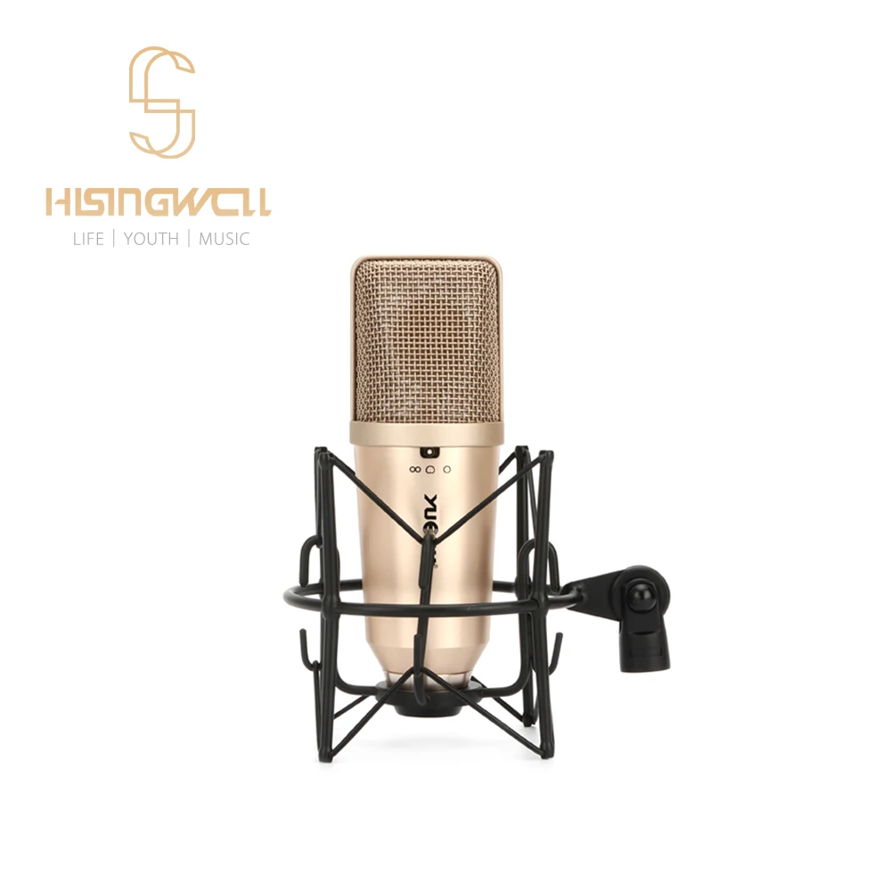 Профессиональный микрофон HISINGWELL с большим конденсатором подходит для студии