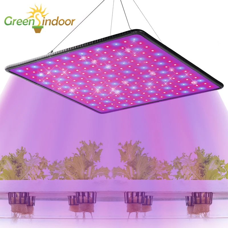 1000W Efficiency LED Lamp Cultivation Led Grow Light For Plants 225 PCS Phyto Lamp Full Spectrum SMD2835 Grow Tent Indoor Growth
1000W Efficiency LED Lamp Cultivation Led Grow Light For Plants 225 PCS Phyto Lamp Full Spectrum SMD2835 Grow Tent Indoor Growth